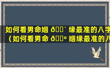 如何看男命姻 🐴 缘最准的八字（如何看男命 🌺 姻缘最准的八字命理）